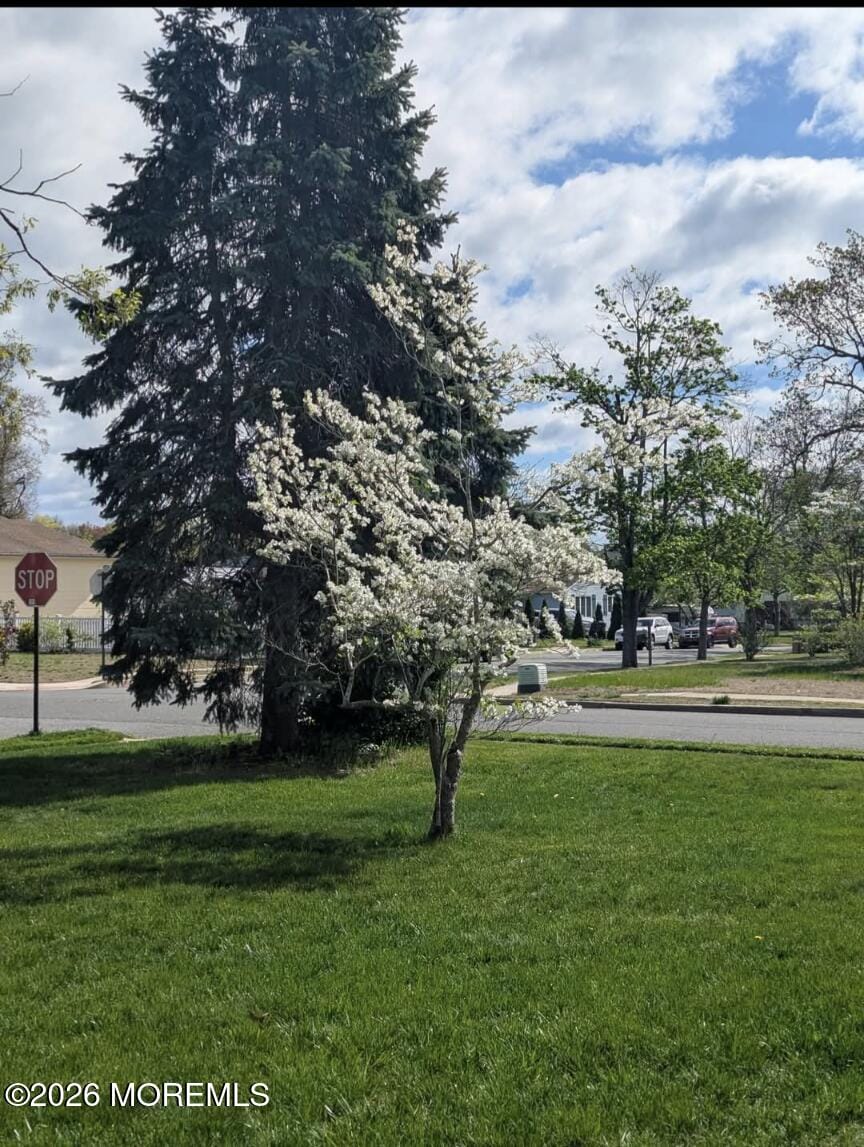 99 Westwood Drive Image 4