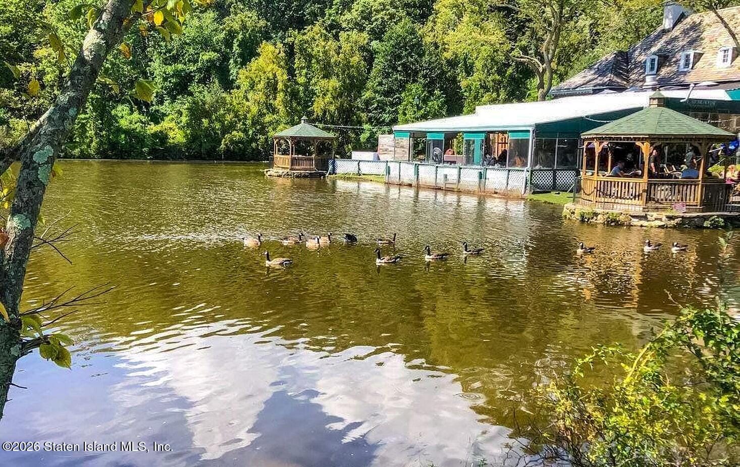 1000 Clove Road #7d, Staten Island, NY, 10301 image 29