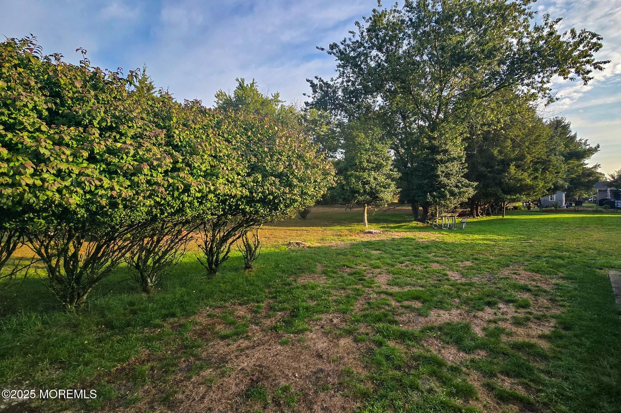 593 Jamaica Boulevard Image 5