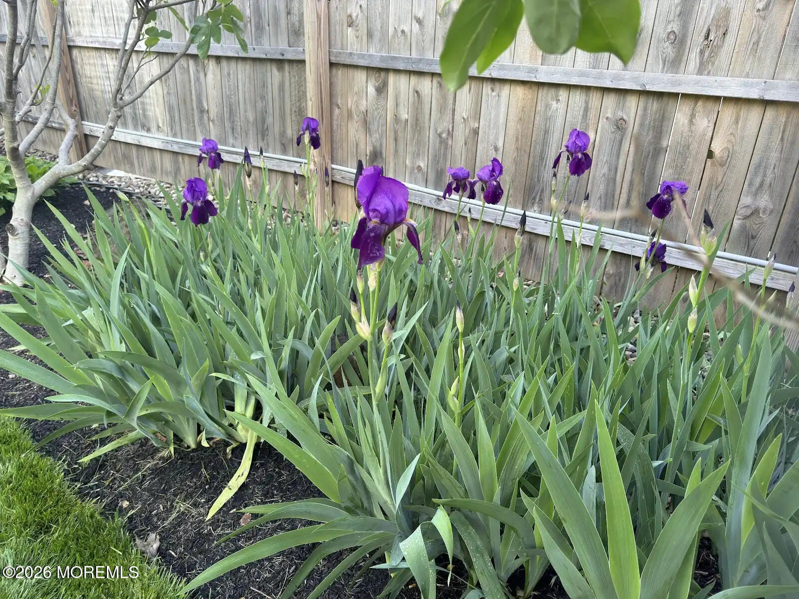 703 Sea Girt Avenue, Sea Girt, NJ, 08750 image 57