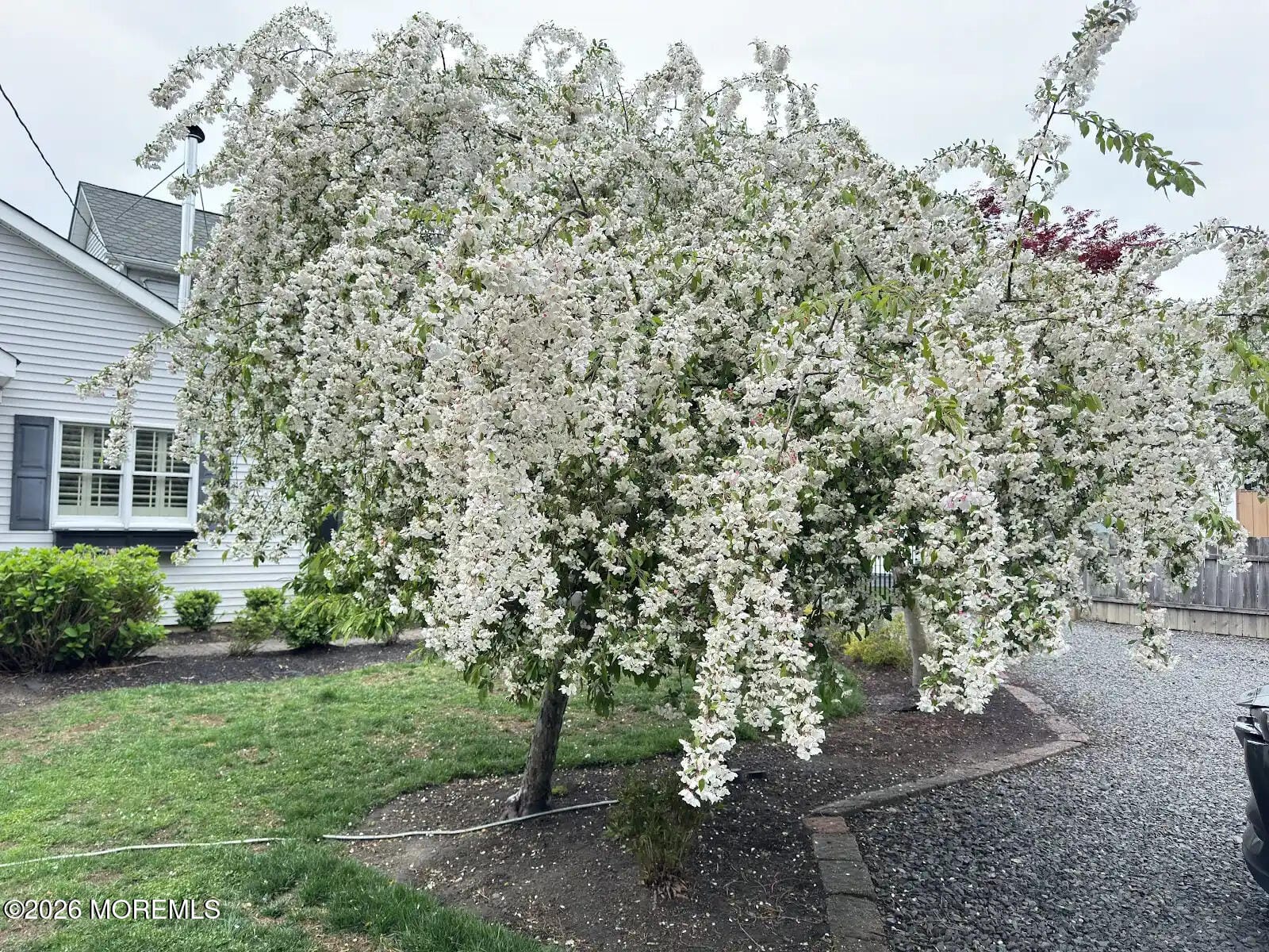 703 Sea Girt Avenue, Sea Girt, NJ, 08750 image 59