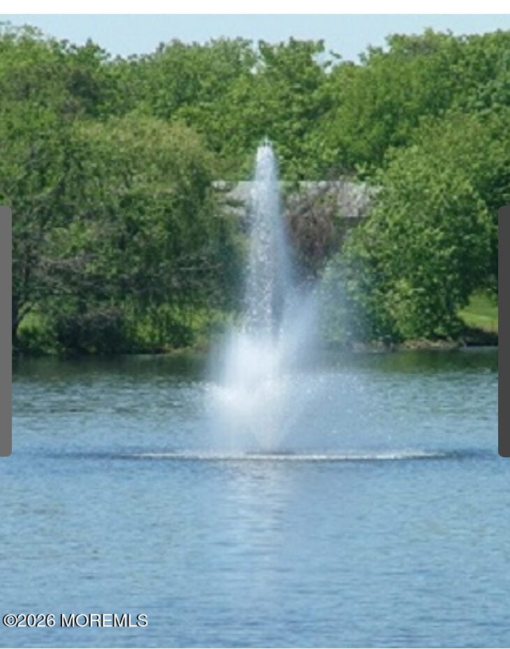 646 A Plymouth Drive, Lakewood, NJ, 08701 image 29