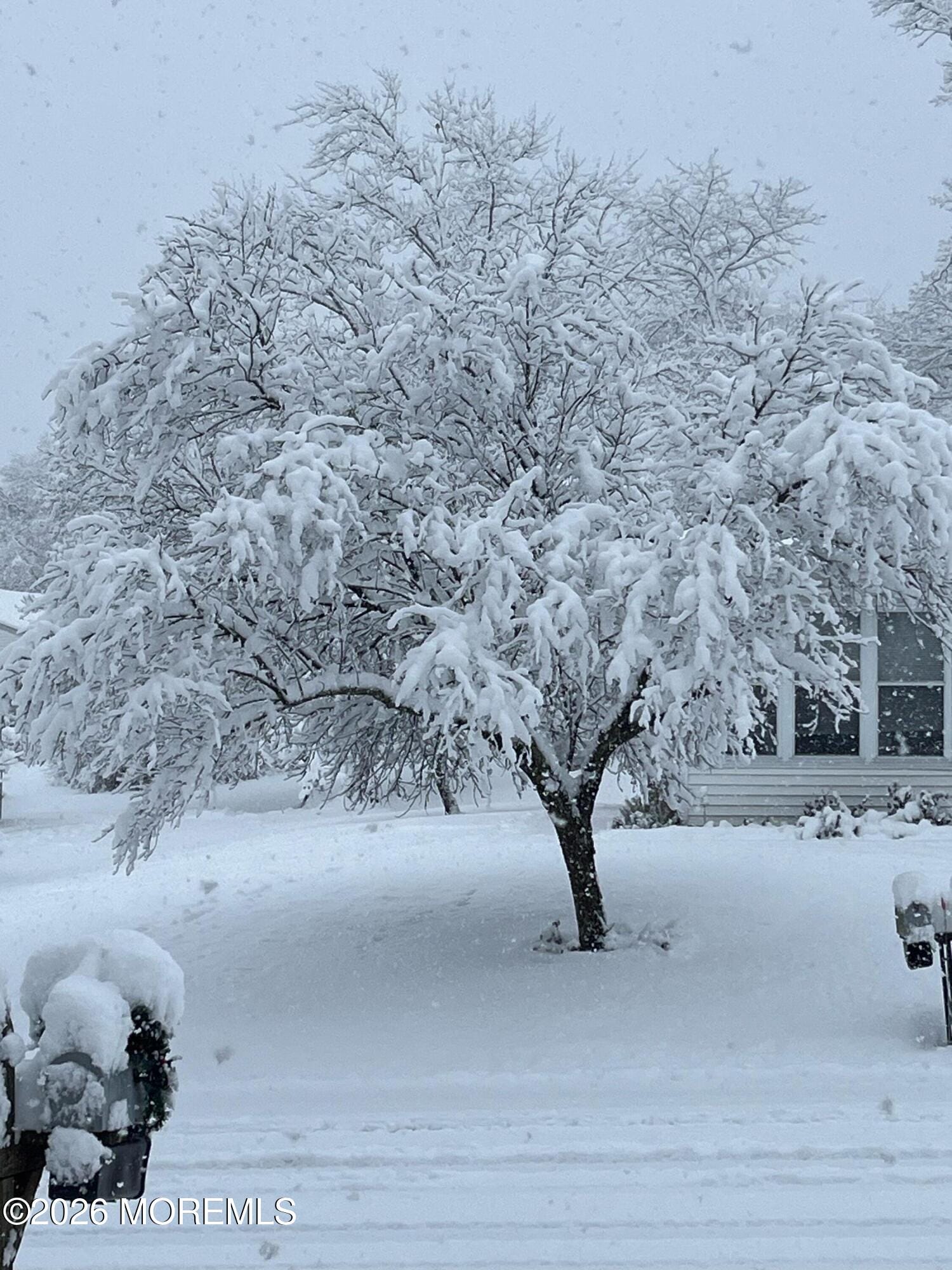 136 A Azalea Drive, Whiting, NJ, 08759 image 52