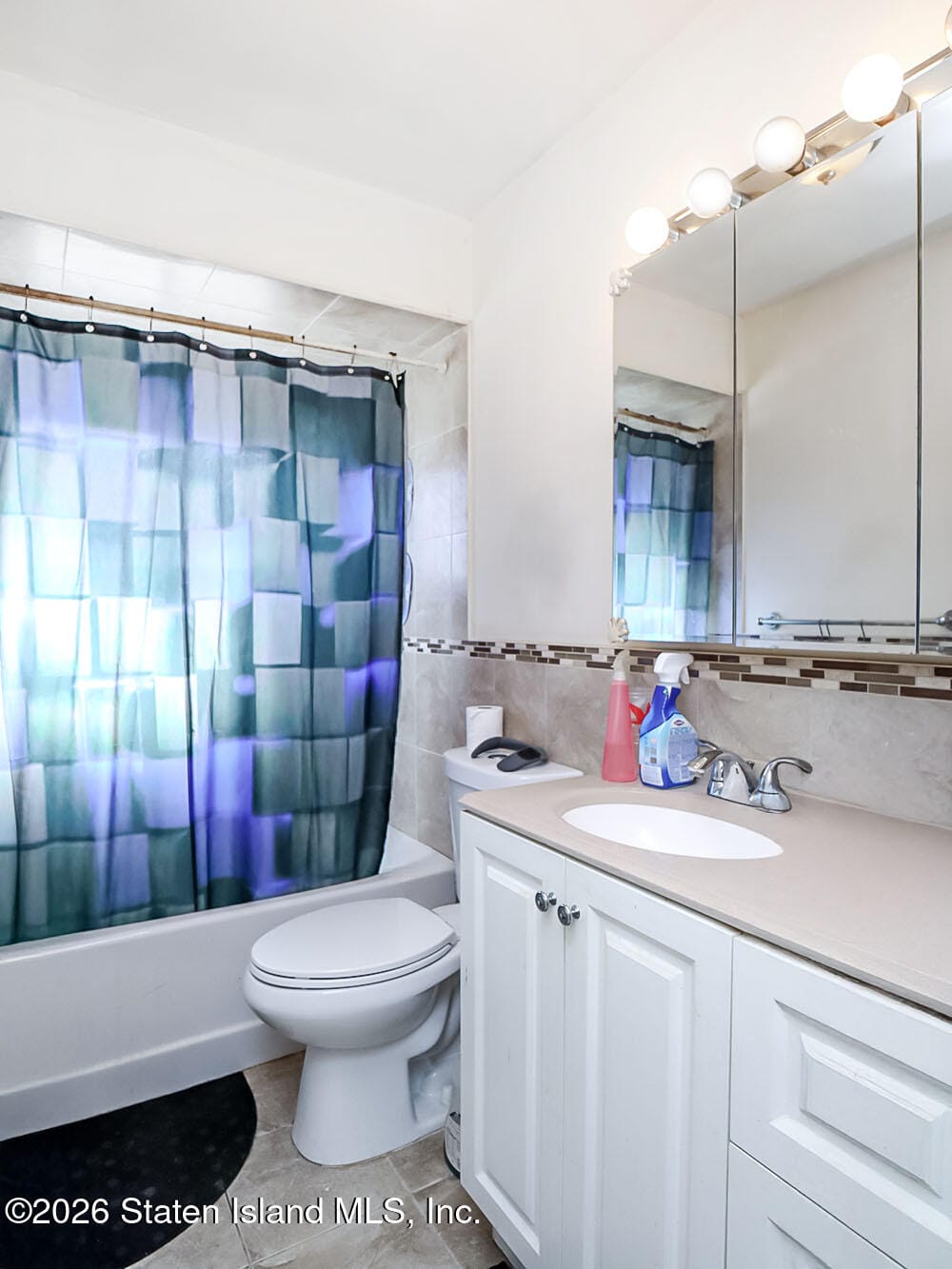 78 Lott Lane, Staten Island, NY, 10314 image 18