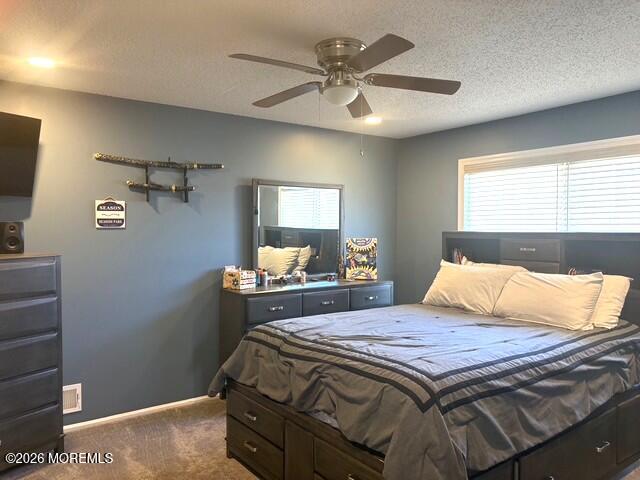 166 Christian Court, Toms River, NJ, 08753 image 25