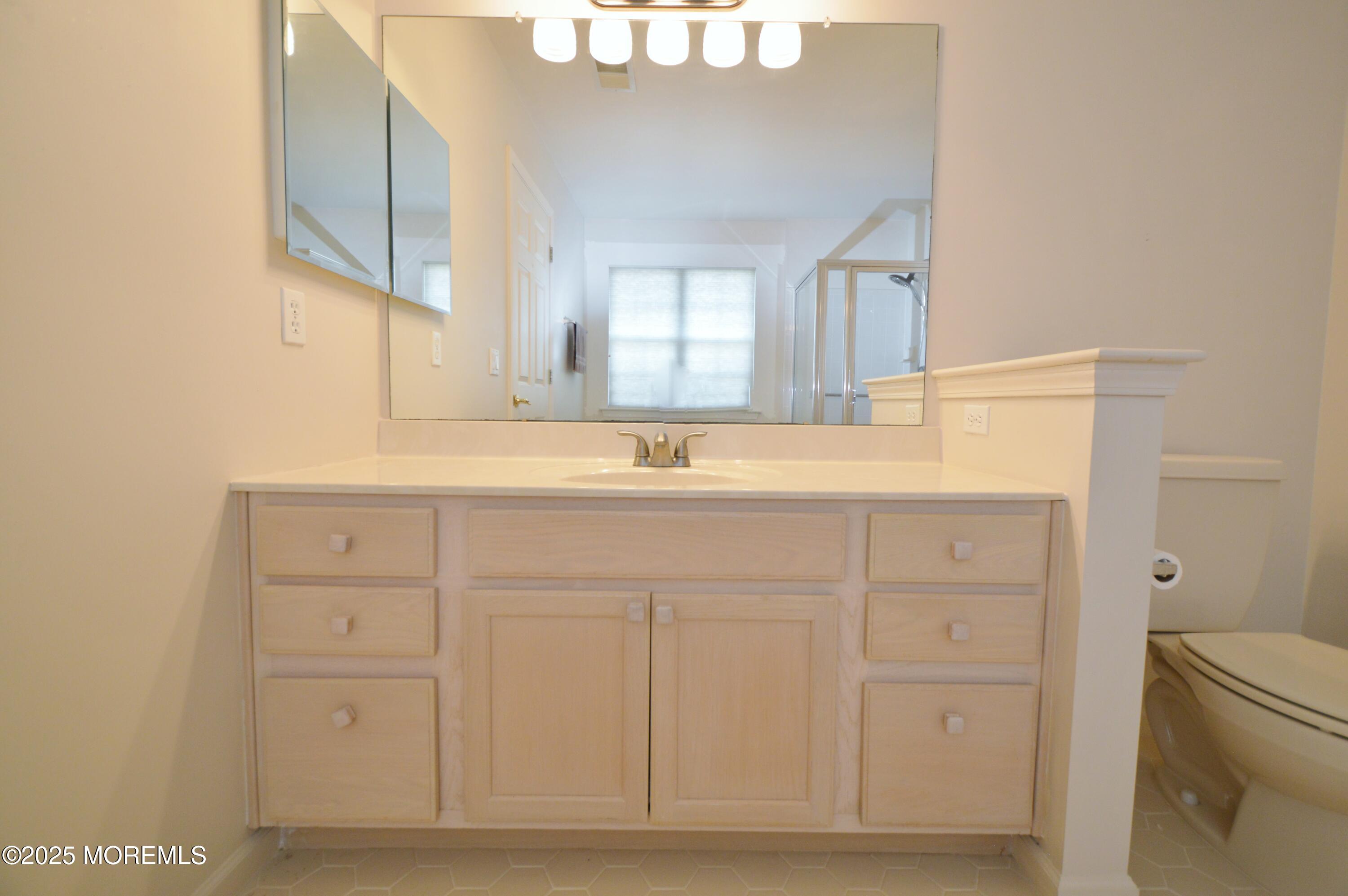 2602 Meadow Lake Drive, Toms River, NJ, 08755 image 35