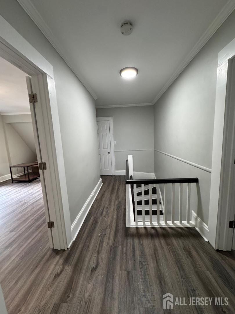 86 Harvey Street, New Brunswick, NJ, 08901 image 21