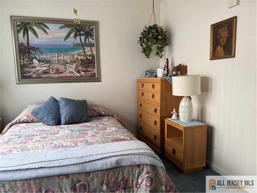 1113 Cedar Village Boulevard, East Brunswick, NJ, 08816 image 16