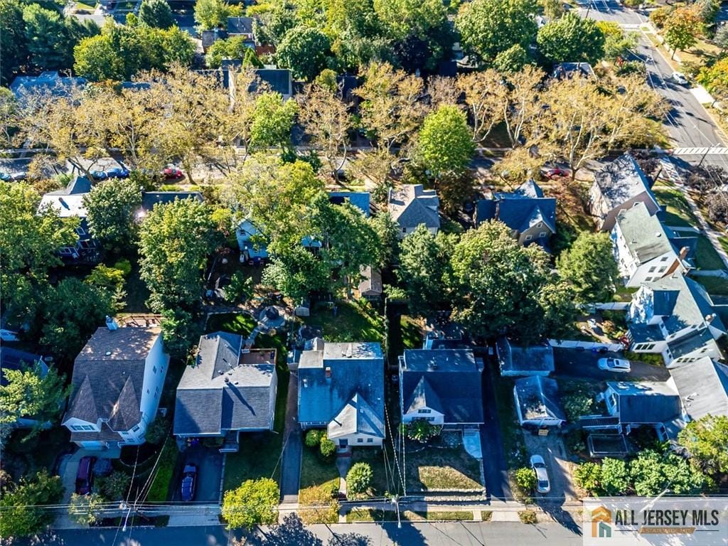 116 Graham Street, Highland Park, NJ, 08904 image 6