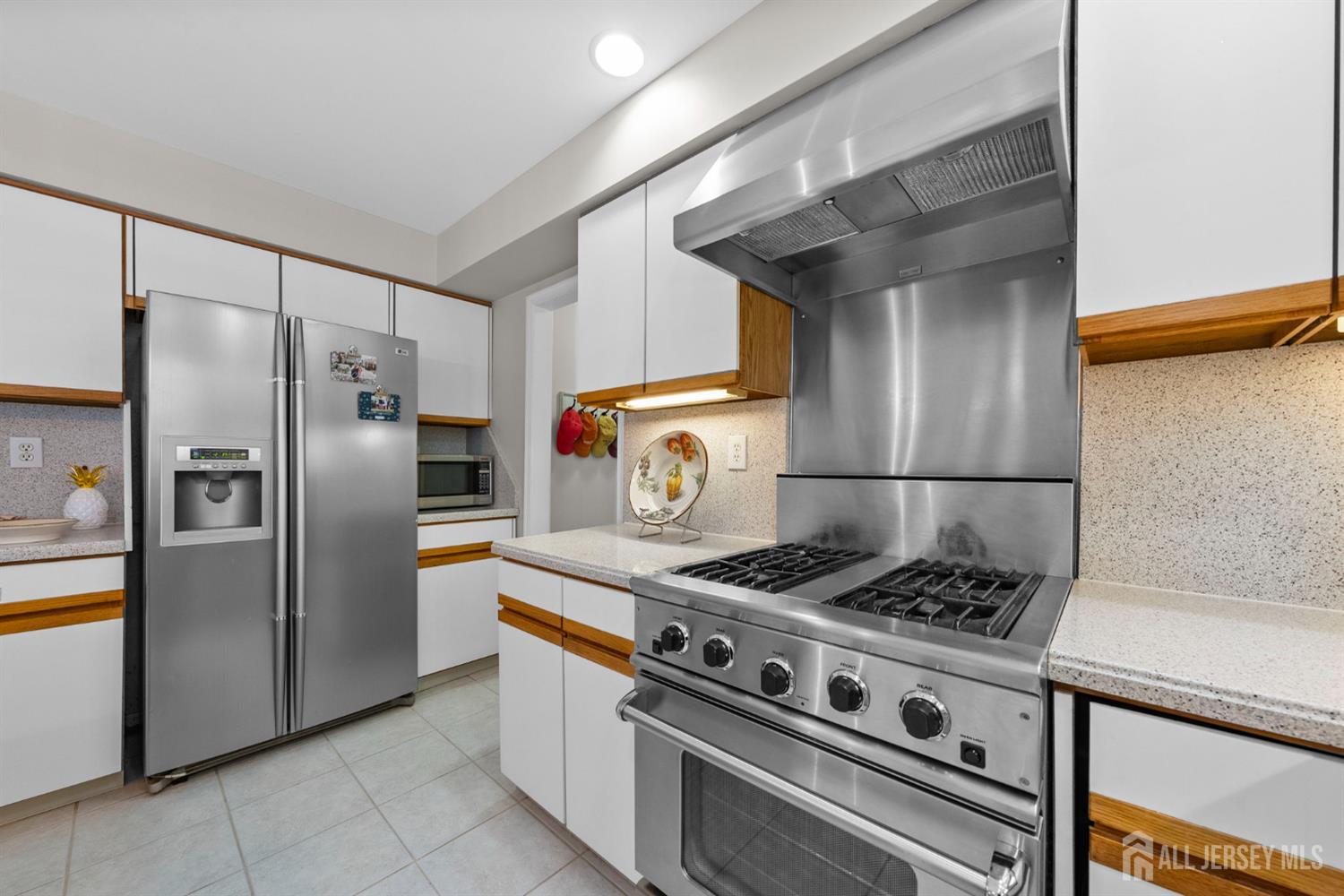 10 Gillian Drive, South Brunswick, NJ, 08824 image 18