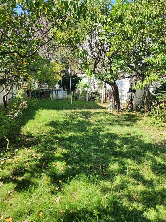 2408 East 13th Street, Brooklyn, New York, 11235 image 6