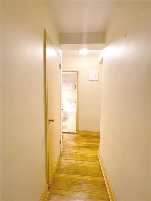 3178 Nostrand Avenue 5H, Brooklyn, New York, 11229 image 20