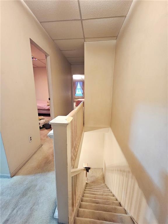 2157 64th Street, Brooklyn, New York, 11204 image 9