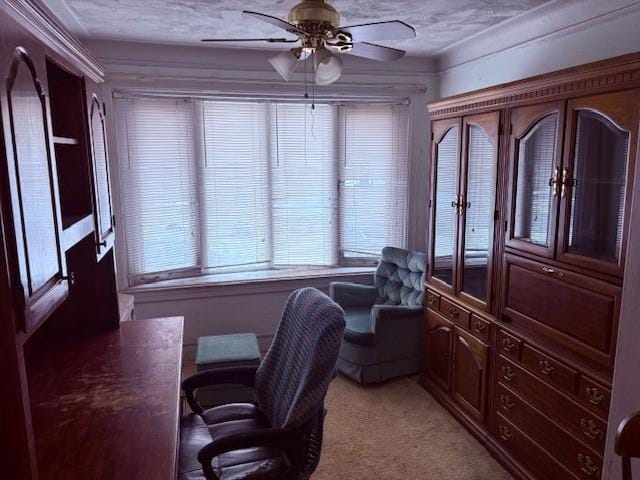 2043 East 64 Street, Brooklyn, New York, 11234 image 8