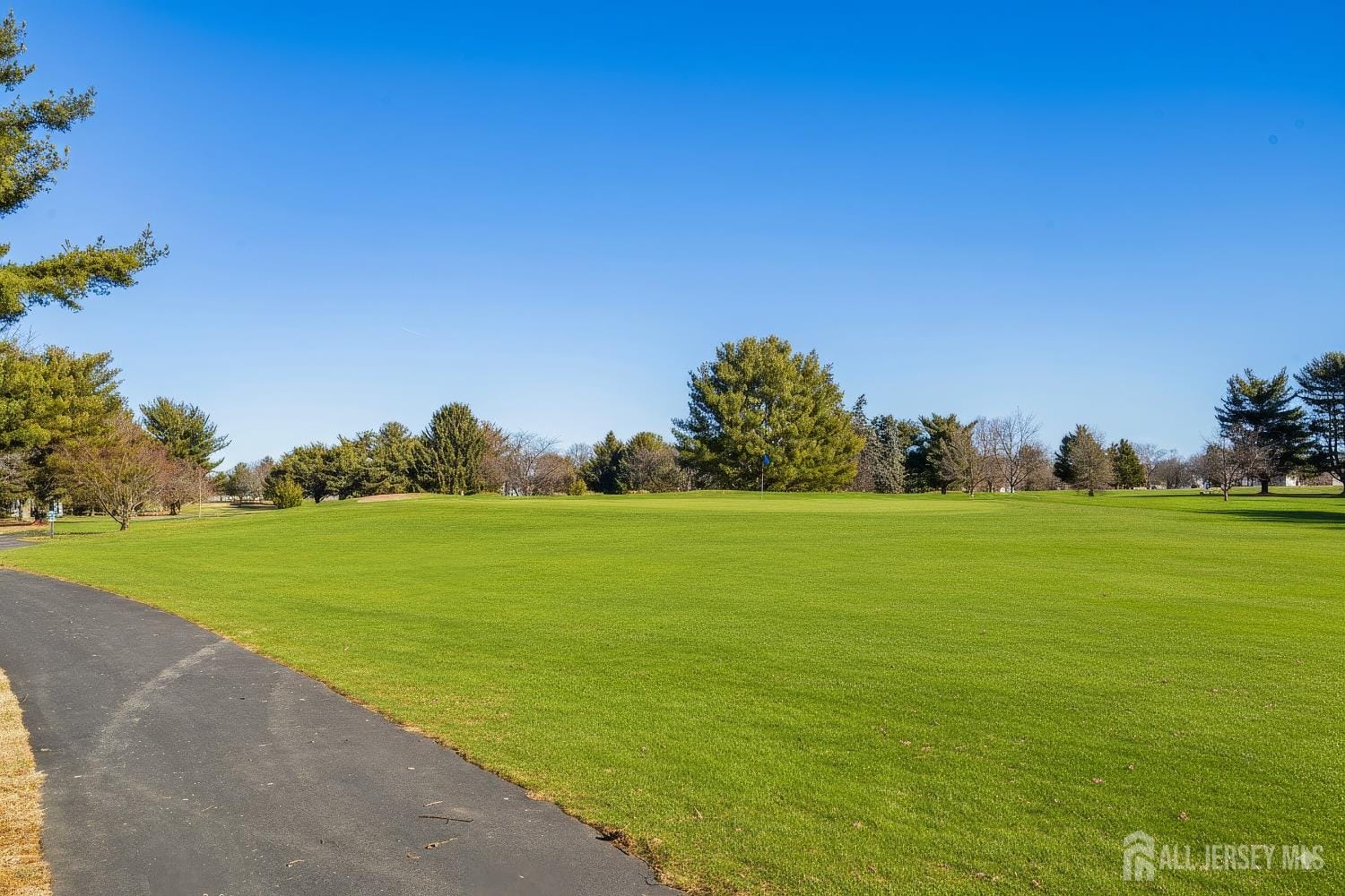 25 E Rossmoor Drive, Monroe, NJ, 08831 image 25