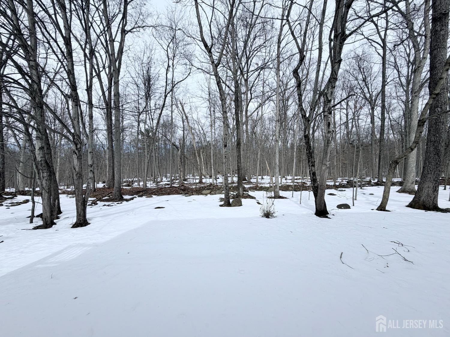 123 Bobolink Court, Wayne, NJ, 07470 image 29