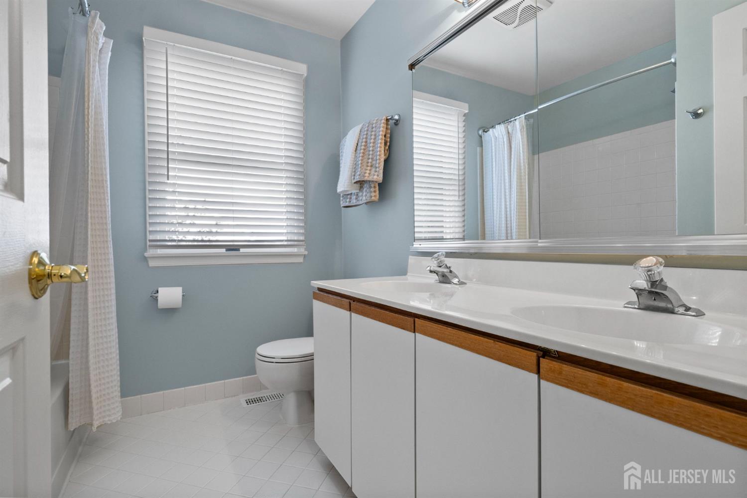 10 Gillian Drive, South Brunswick, NJ, 08824 image 45