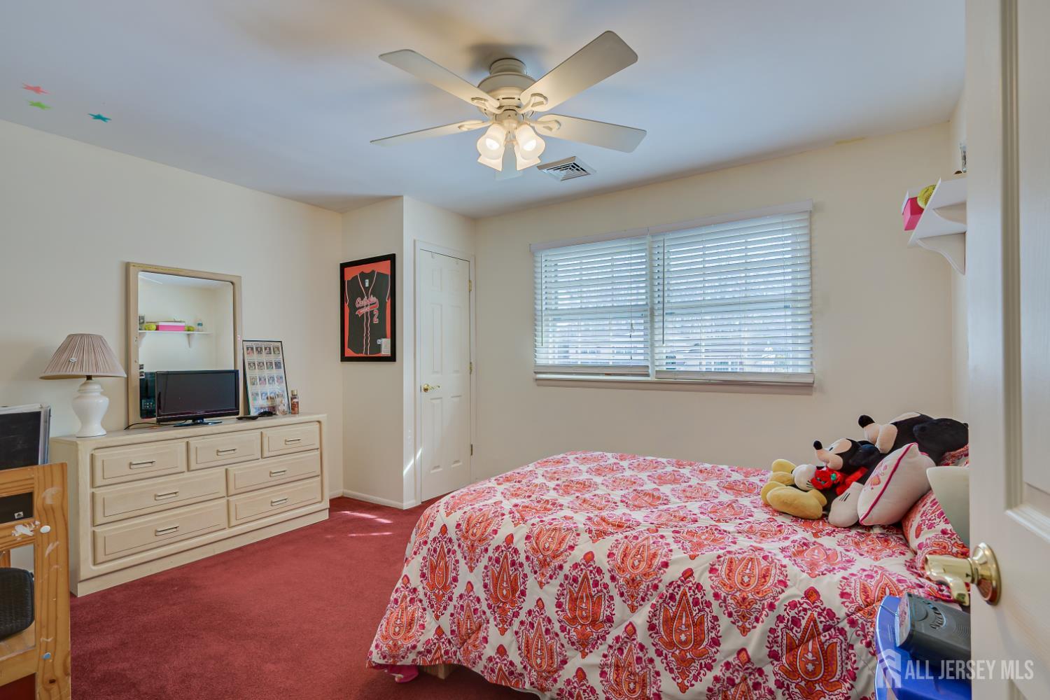 19 Annette Drive, Edison, NJ, 08820 image 33