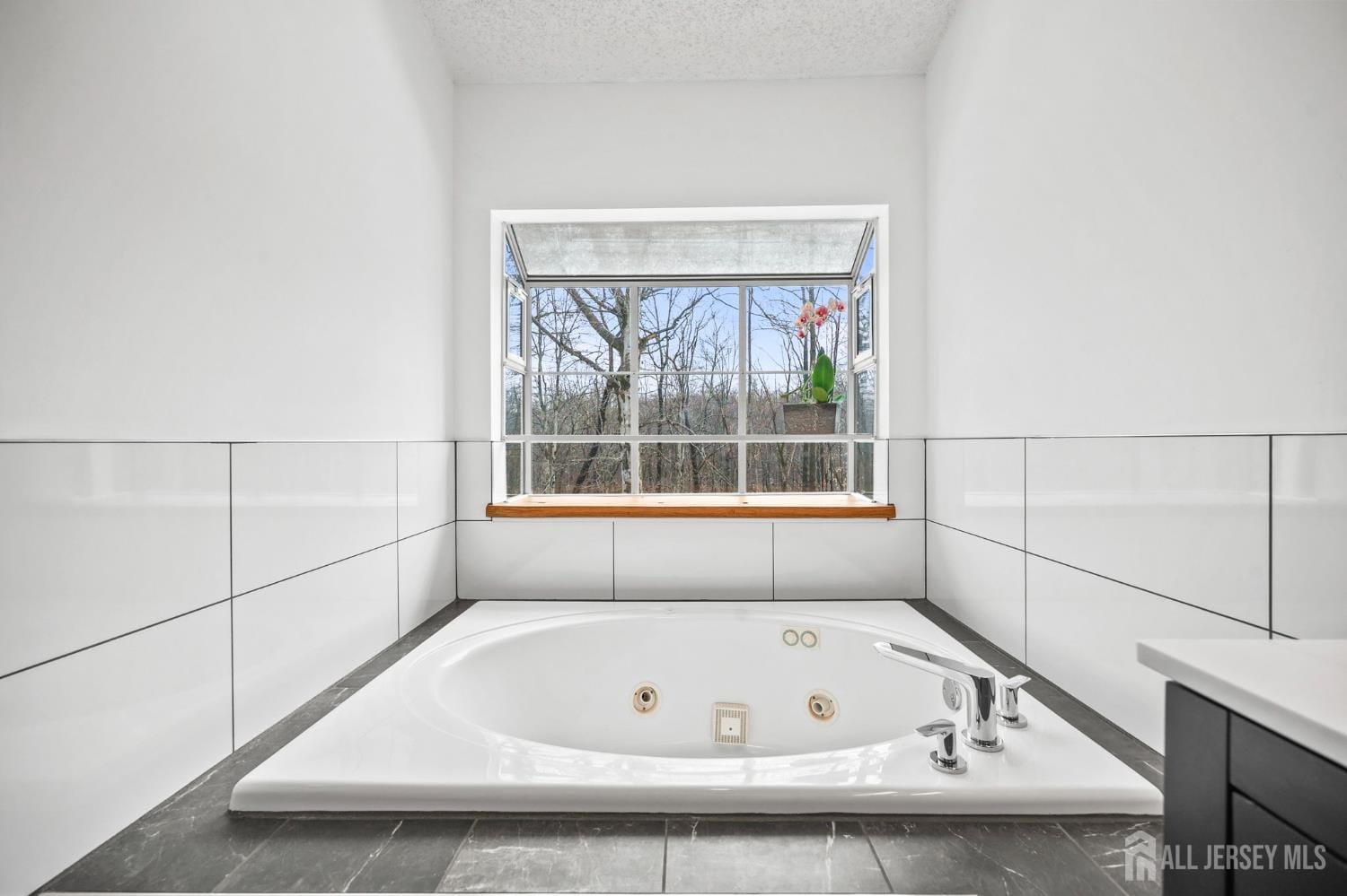 54 N Coriander Drive, South Brunswick, NJ, 08540 image 40