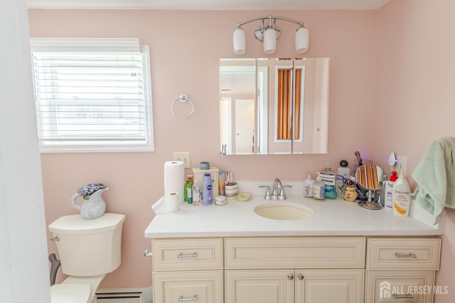 32 Whitman Road, North Brunswick, NJ, 08902 image 9