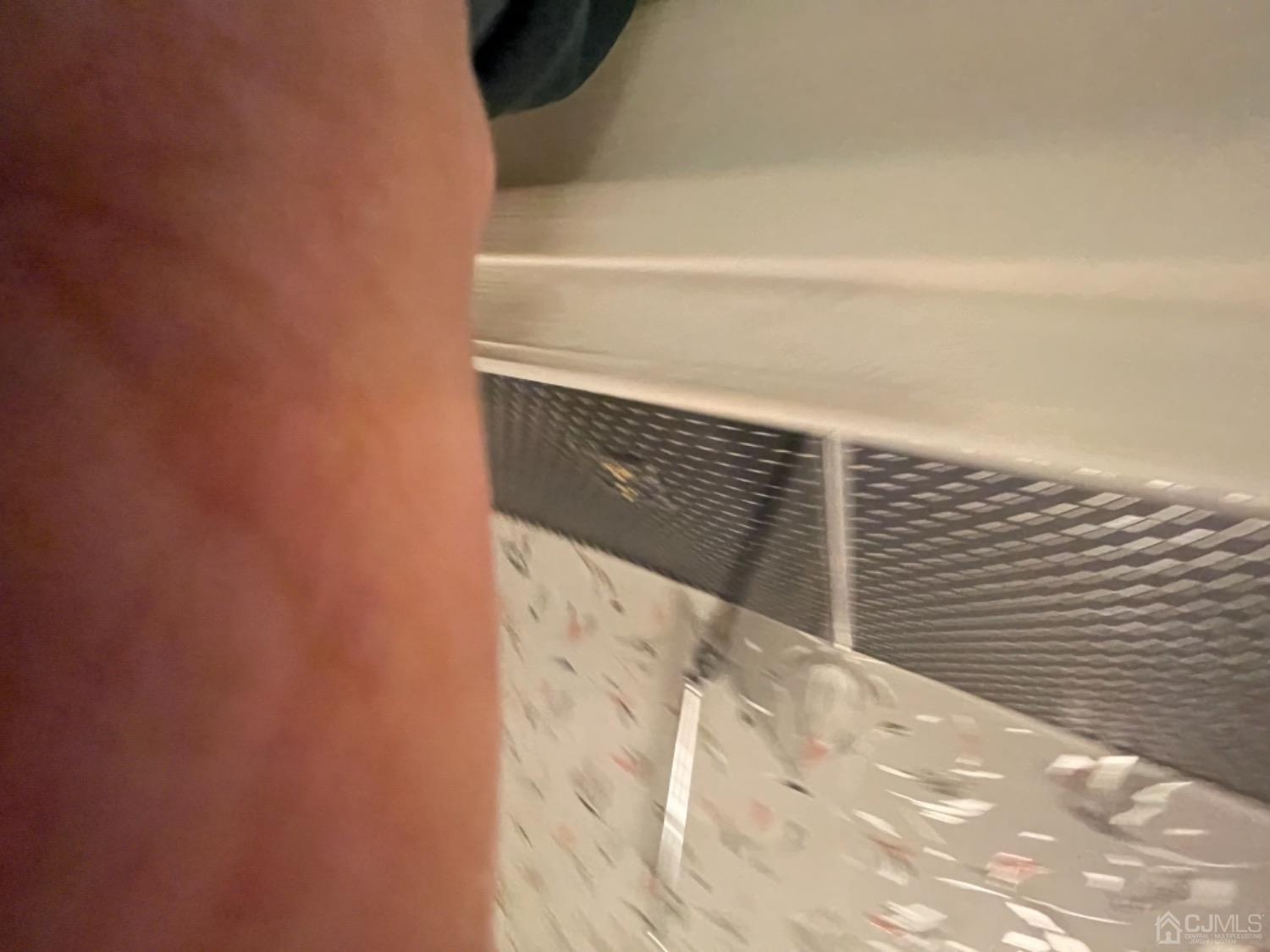 81 Redmond Street, New Brunswick, NJ, 08901 image 13