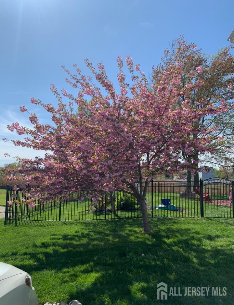 911 Harris Avenue, Union Beach, NJ, 07735 image 34