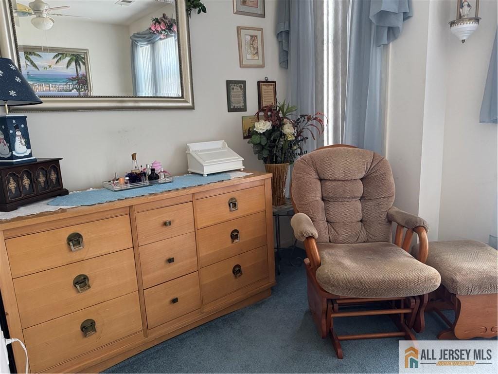 1113 Cedar Village Boulevard, East Brunswick, NJ, 08816 image 15