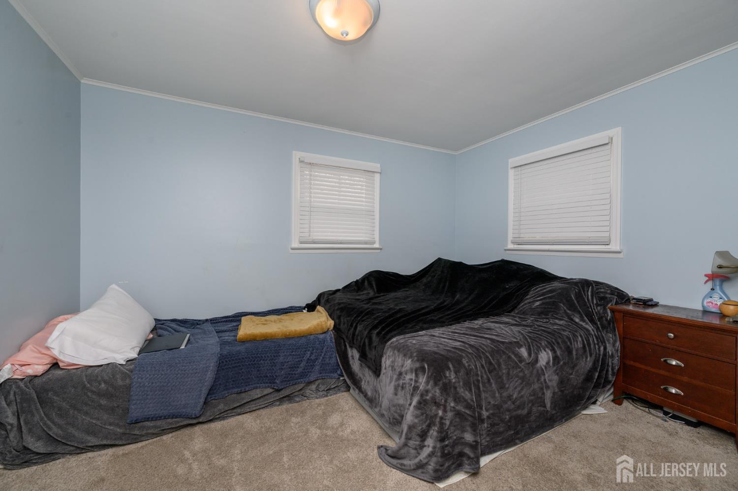 384 Cook Road, Jackson, NJ, 08527 image 13