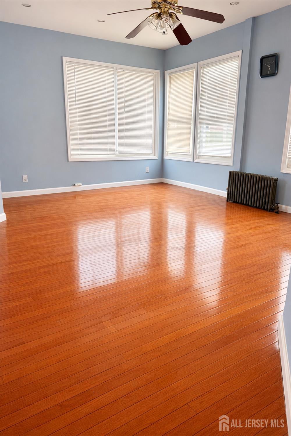 6 S 9th Avenue, Highland Park, NJ, 08904 image 6