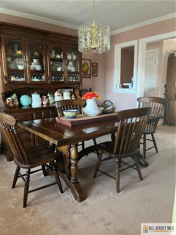 59 Franklin School Way 59, Metuchen, NJ, 08840 image 7