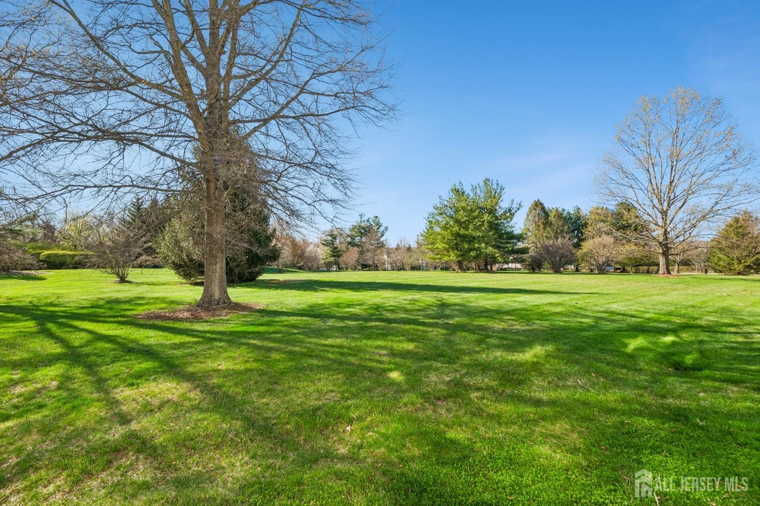 304 Heskers Court, South Brunswick, NJ, 08852 image 15