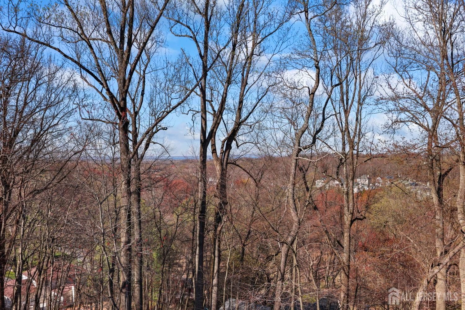 120 Nolan Road, Morganville, NJ, 07751 image 72