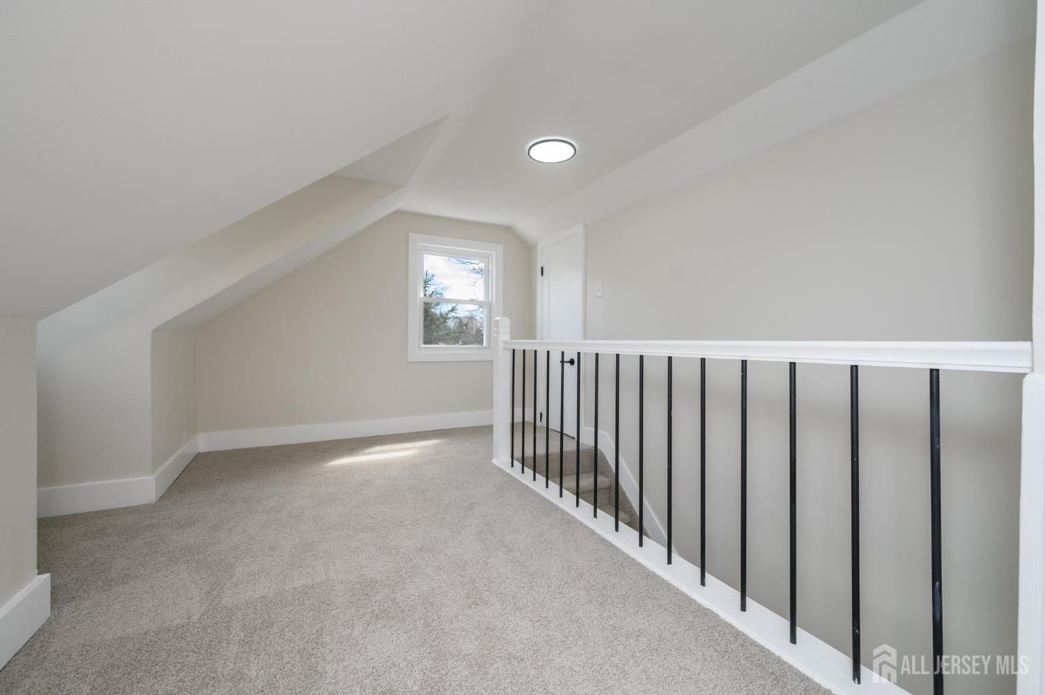 36 Delekas Avenue, South Plainfield, NJ, 07080 image 22