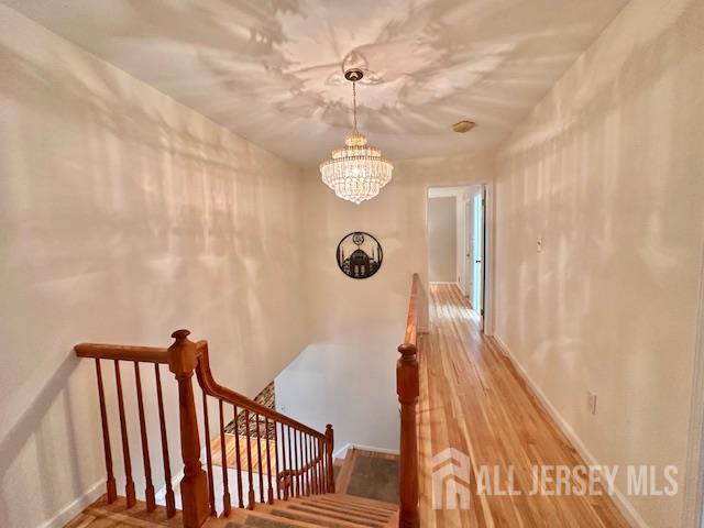 8 Constitution Court, East Brunswick, NJ, 08816 image 28