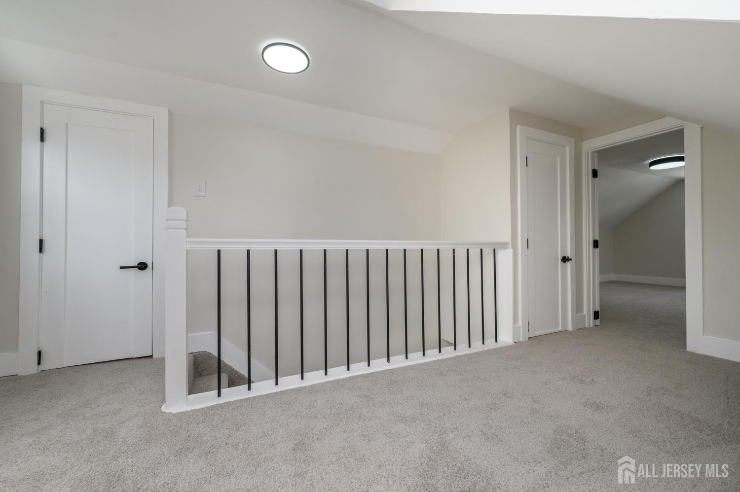 36 Delekas Avenue, South Plainfield, NJ, 07080 image 21