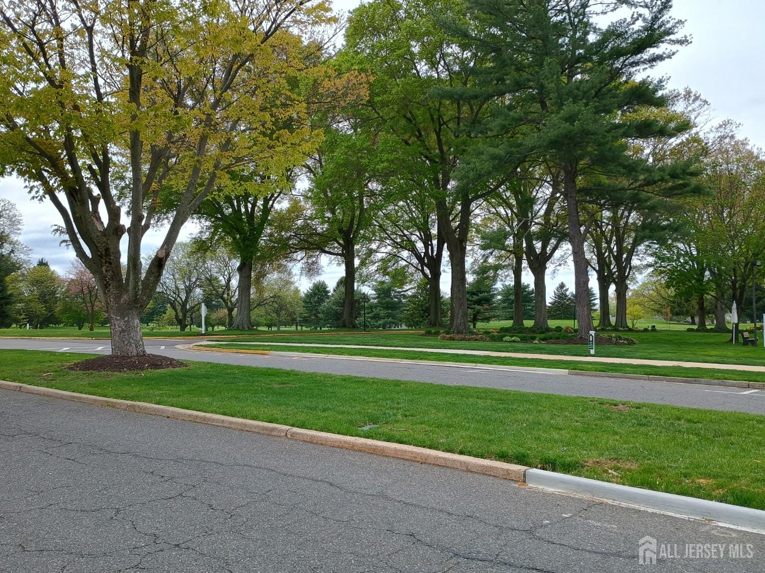 73 Rossmoor Dr Drive A, Monroe, NJ, 08831 image 41