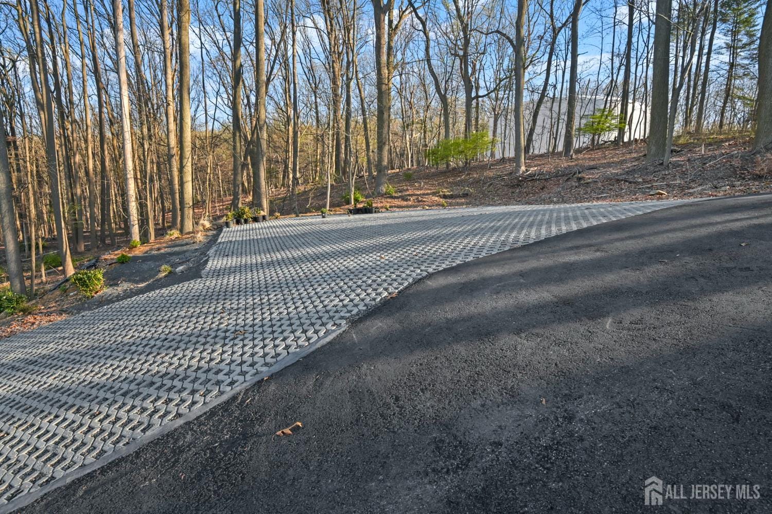 120 Nolan Road, Morganville, NJ, 07751 image 71