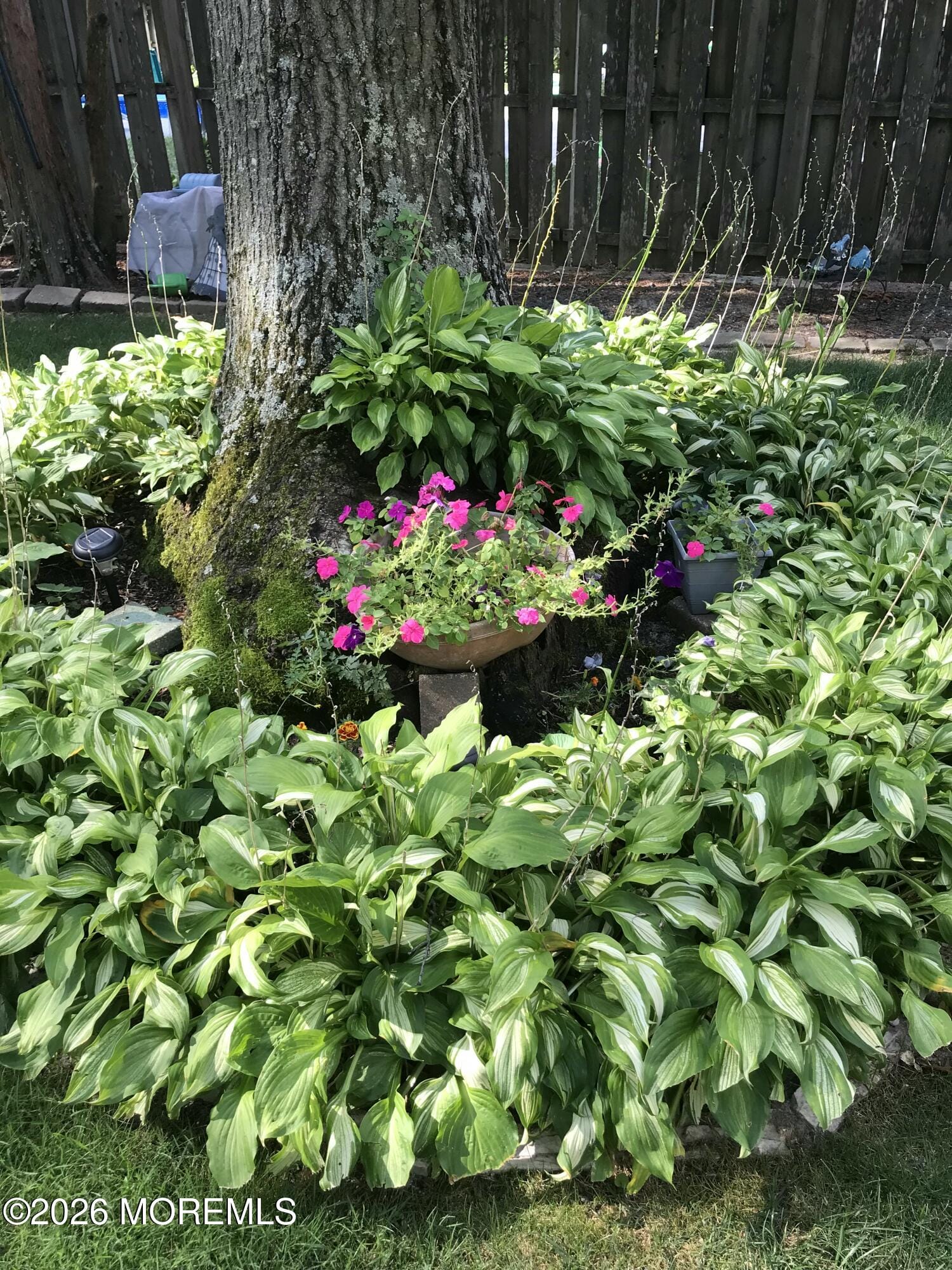 520 Hardenberg Avenue, Point Pleasant, NJ, 08742 image 35