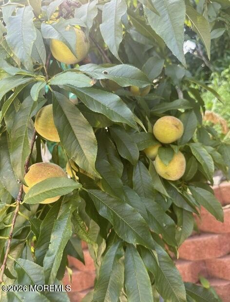 111 Valley Avenue, Highlands, NJ, 07732 image 13