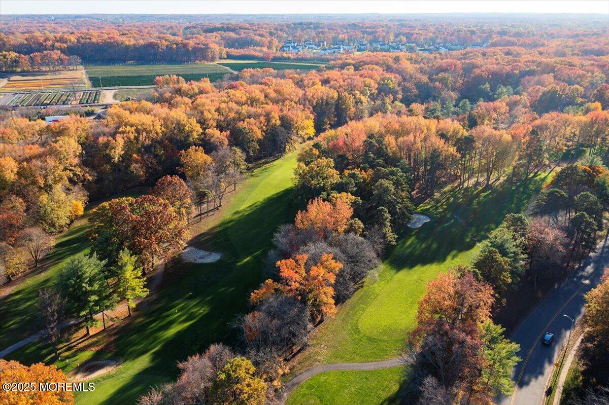 29 Meadow Green Circle A, Manalapan, NJ, 07726 image 27