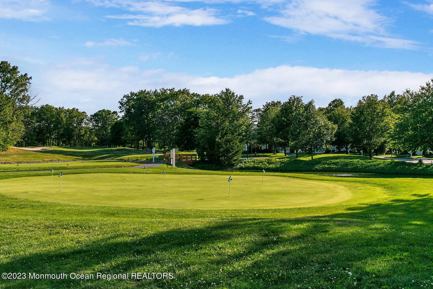 8 April Springs Court, Lakewood, NJ, 08701 image 33