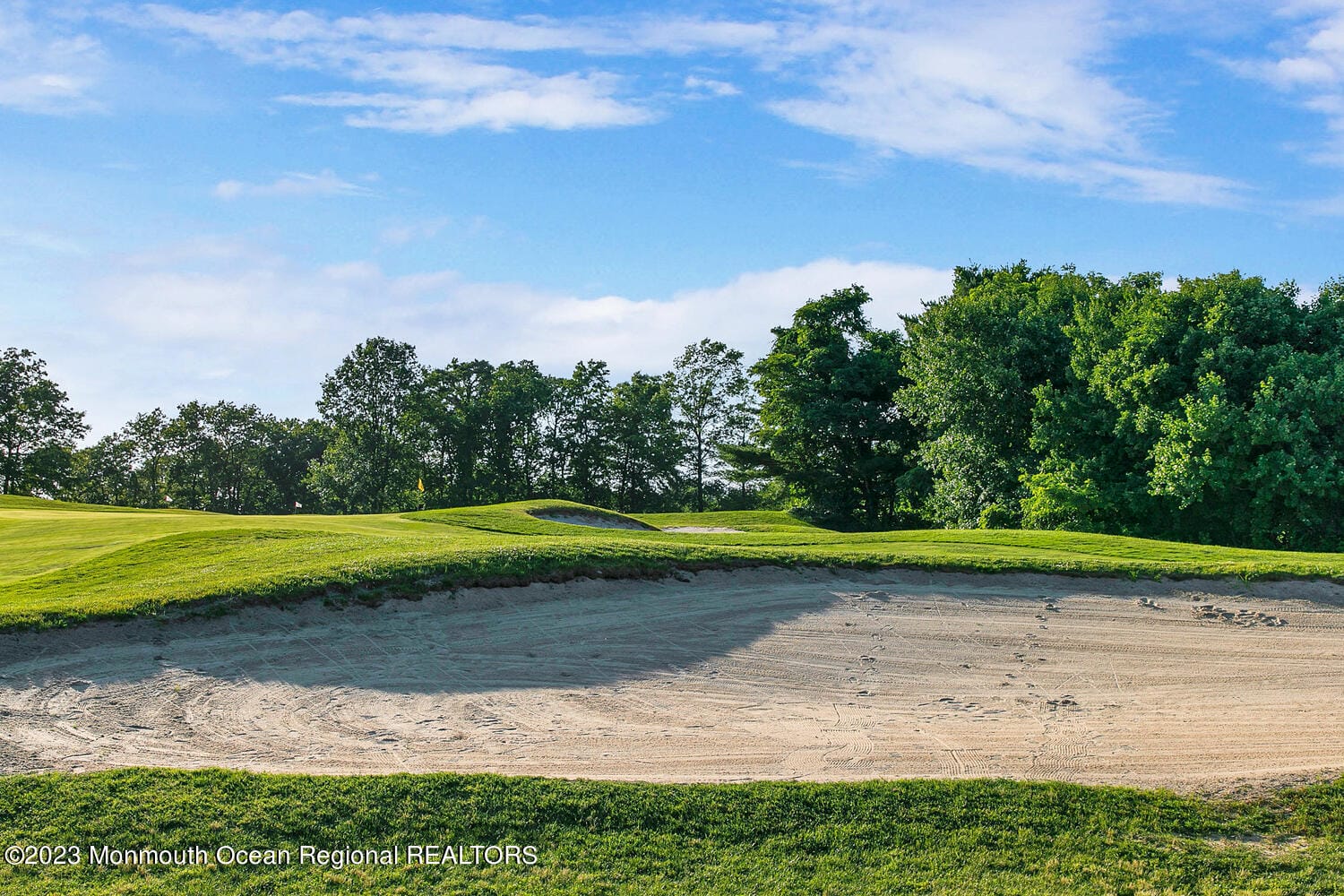 8 April Springs Court, Lakewood, NJ, 08701 image 52