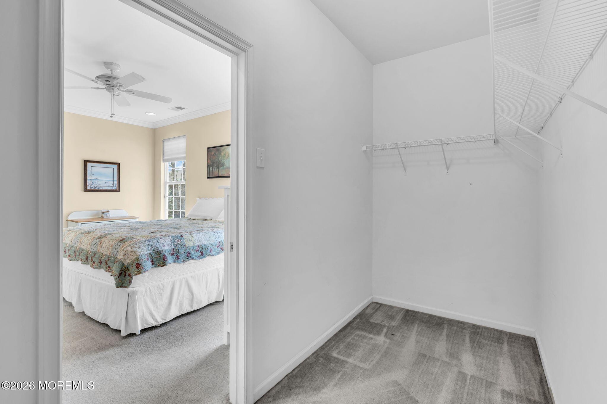 6 Wadsworth Place, Barnegat, NJ, 08005 image 20