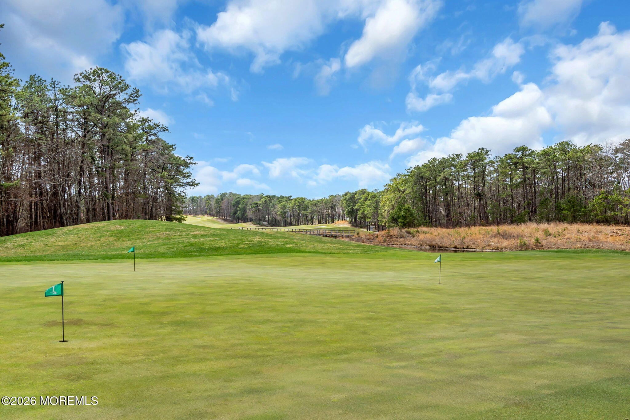 30 Point Pleasant Drive, Waretown, NJ, 08758 image 97