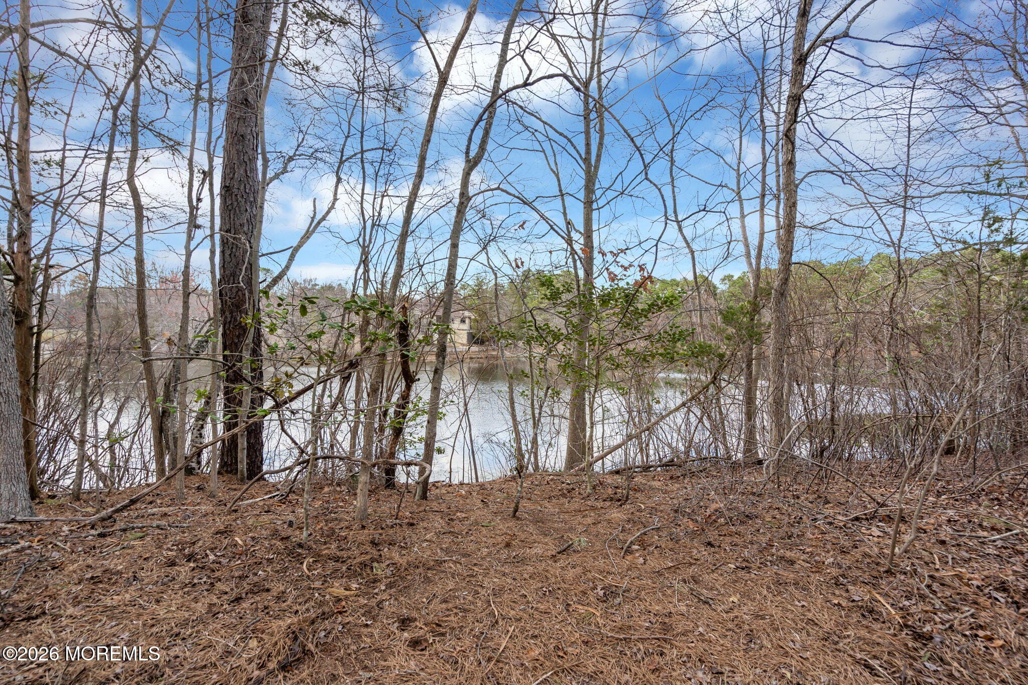 20 Sylvan Boulevard, Howell, NJ, 07731 image 63