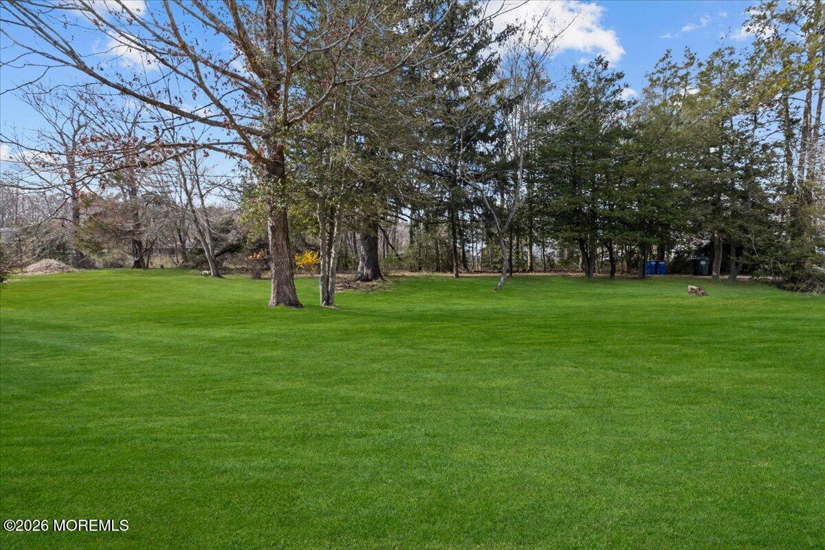 51 Smith Street Image 4