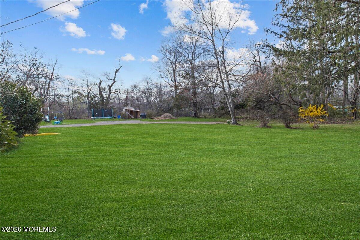 51 Smith Street Image 5