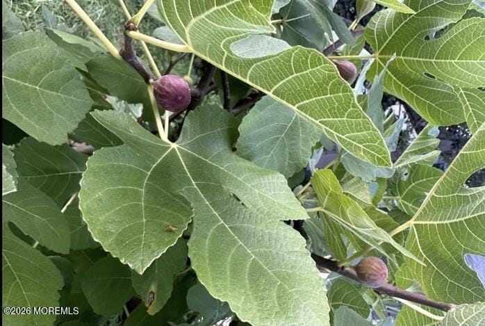 111 Valley Avenue, Highlands, NJ, 07732 image 14