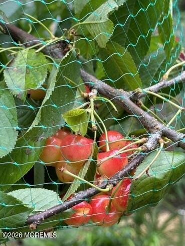 111 Valley Avenue, Highlands, NJ, 07732 image 15