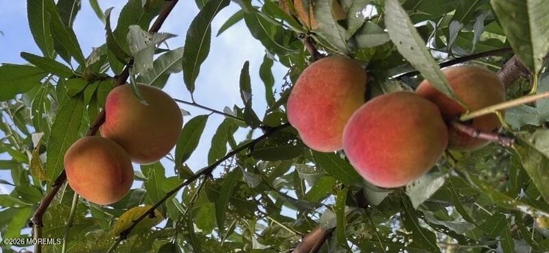 111 Valley Avenue, Highlands, NJ, 07732 image 12